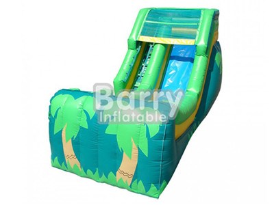 Hot Summer Water Toys Green Palm Tree Inflatable Water Slide BY-WS-046